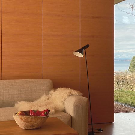 Haus Am Felsen, Ferien In Vorarlberger Architektur Apartman Bregenzi járás Kültér fotó